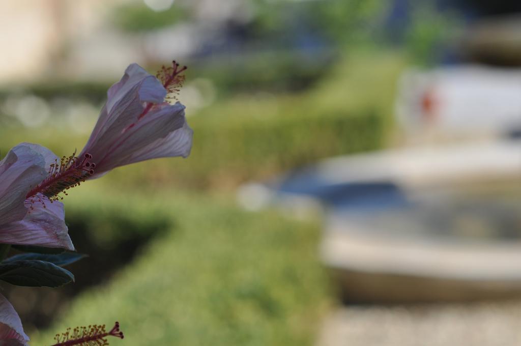 הוילה פייגלין ולדרנו Agriturismo San Leo מראה חיצוני תמונה
