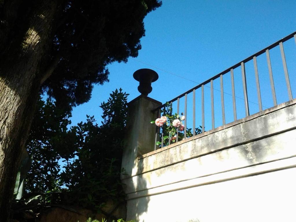 הוילה פייגלין ולדרנו Agriturismo San Leo מראה חיצוני תמונה