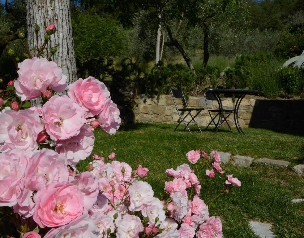 הוילה פייגלין ולדרנו Agriturismo San Leo מראה חיצוני תמונה