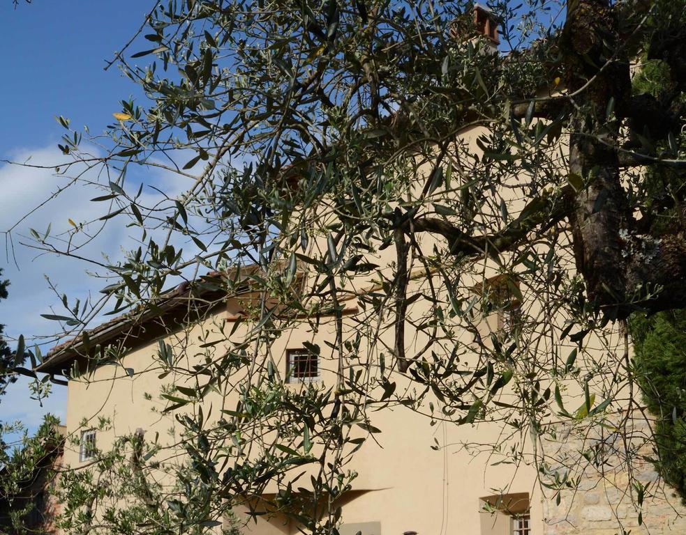 הוילה פייגלין ולדרנו Agriturismo San Leo מראה חיצוני תמונה